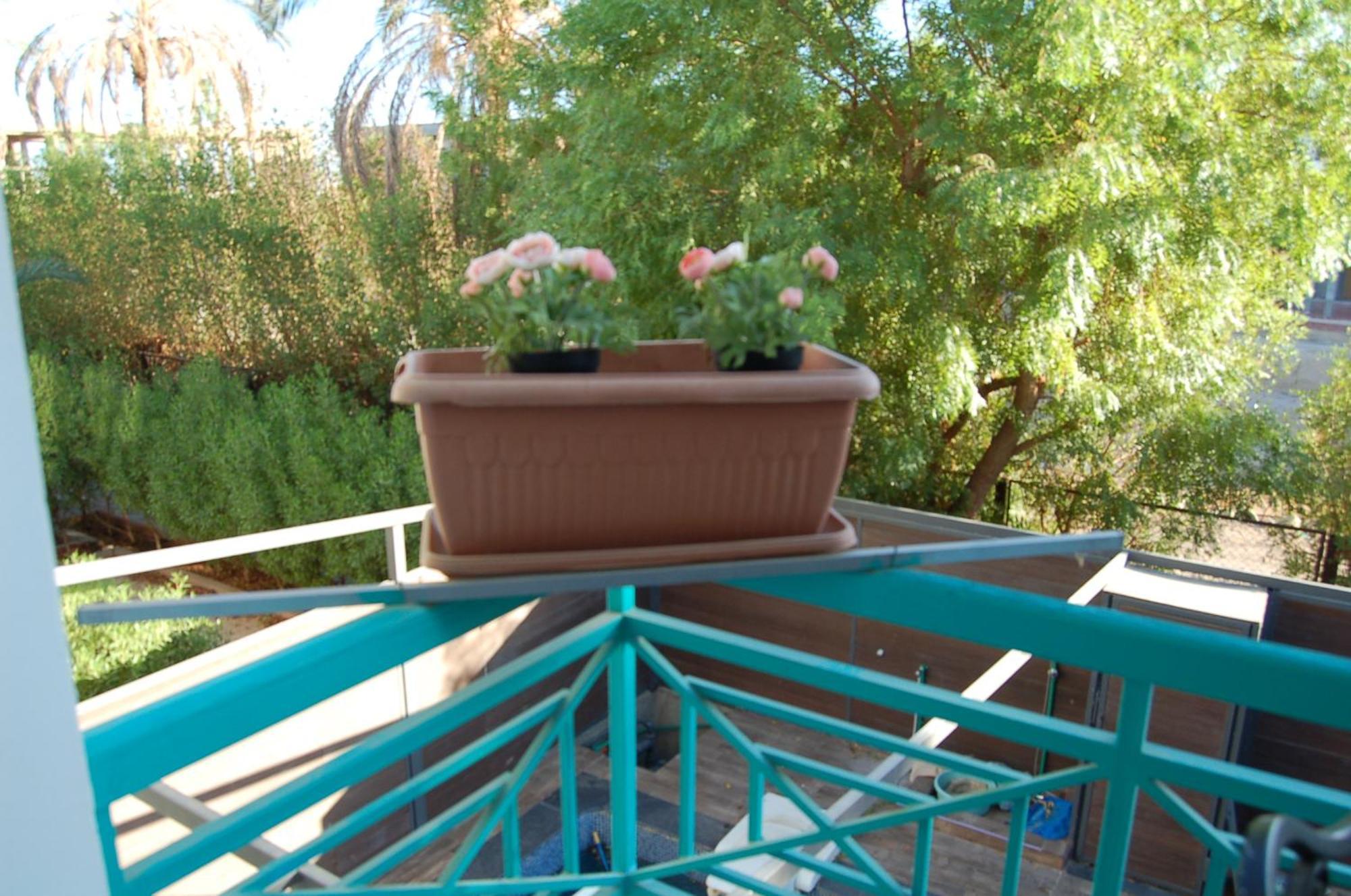 Naama Bay Luxury Stylish Entire Flat With En-Suit Rooms -Centre Of Sharm מראה חיצוני תמונה